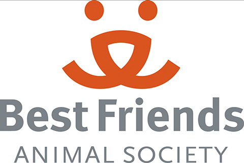 New Yorker needed to save animals everywhere, Best Friends Animal Society – Marketing Manager