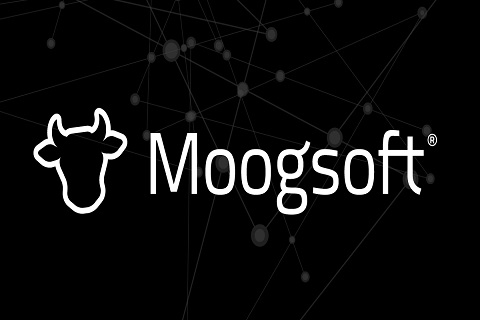 Why You Want to Work at Moogsoft